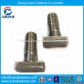 Stainless Steel ss316 T Bolt